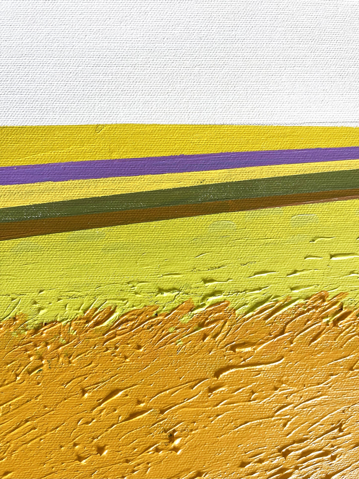 Cycling through a wheat field